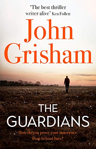 The Guardians: The explosive new thriller from international